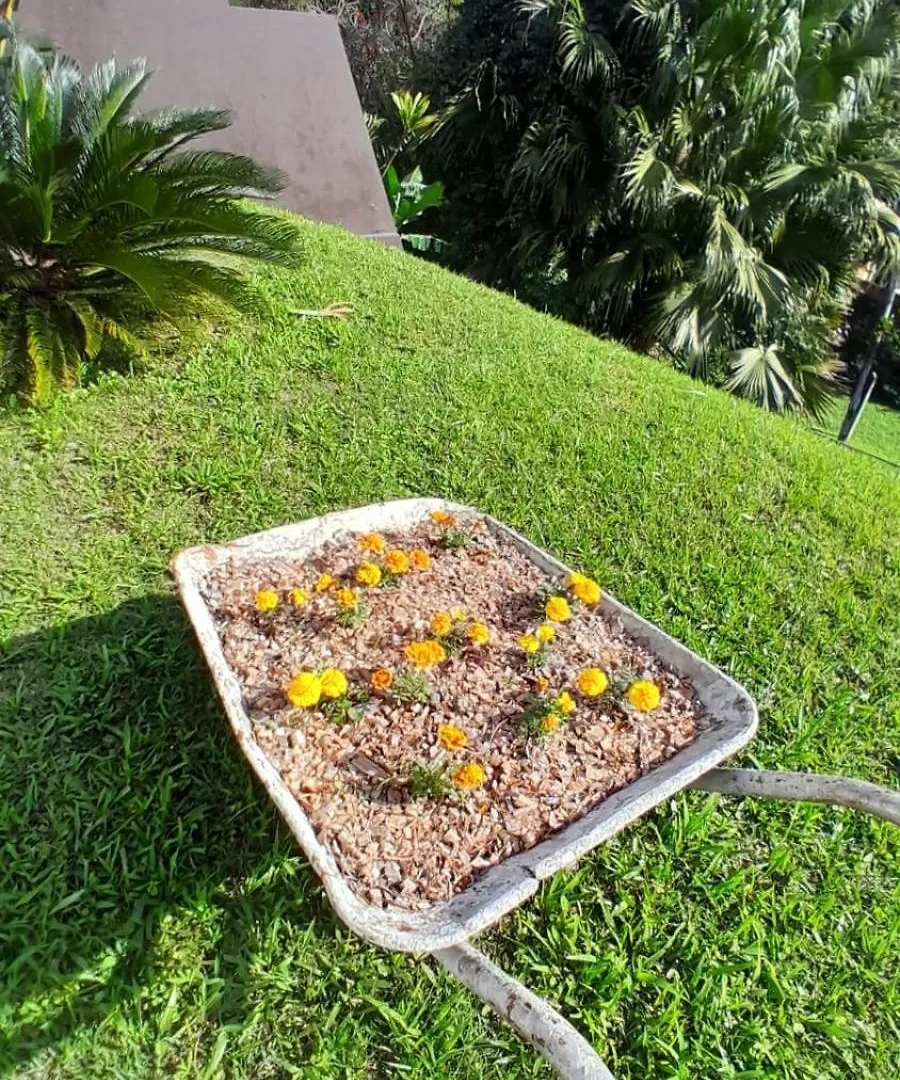 ג'וינוויל Taj Mahal Hostel 0*,  ברזיל